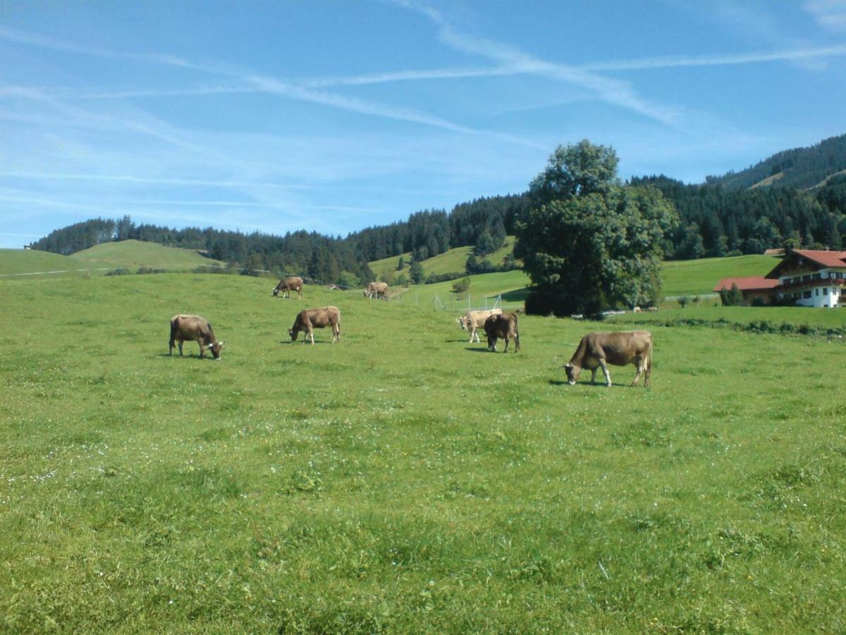 Ferienhof Alfred Albrecht Oberstdorf Dış mekan fotoğraf