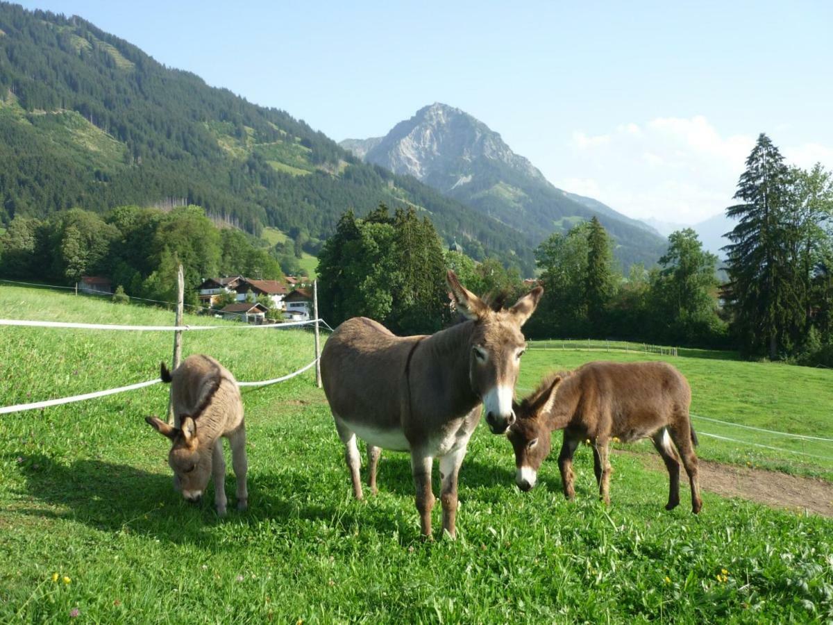 Ferienhof Alfred Albrecht Oberstdorf Dış mekan fotoğraf