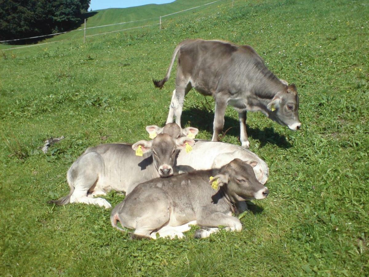 Ferienhof Alfred Albrecht Oberstdorf Dış mekan fotoğraf